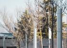 Public lighting with LED luminaires for outdoor lighting , Points of light  , ACS Stark Light point , 