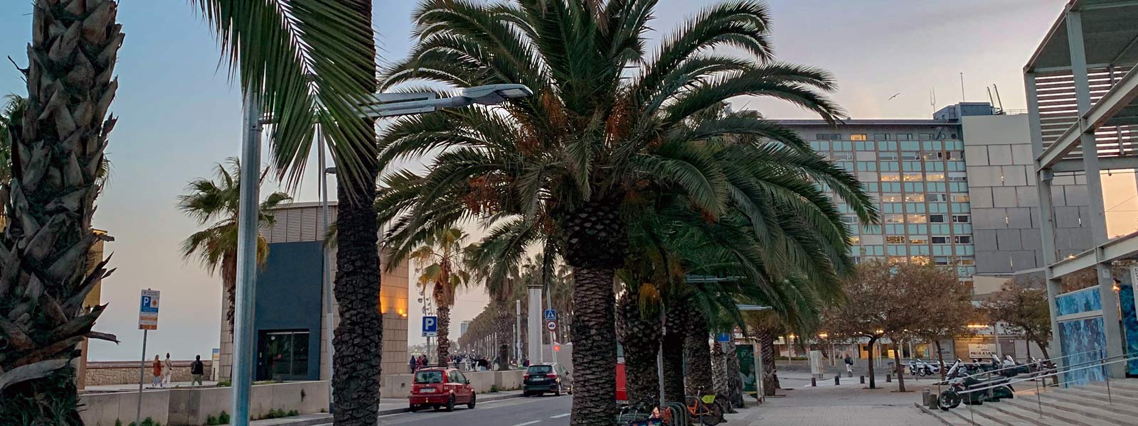 Nova Instal·lació d'Il·luminació en la zona de la Barceloneta